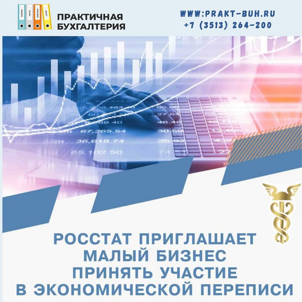экономическая перепись бизнеса